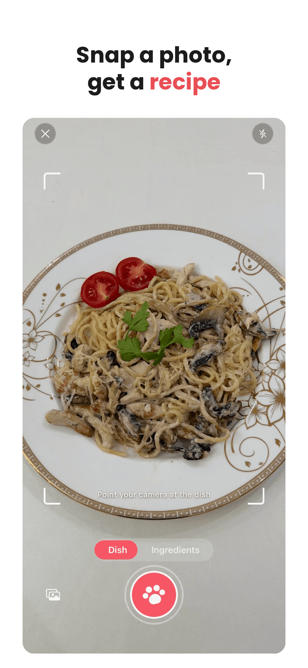 Pointing the camera at a dish to identify it